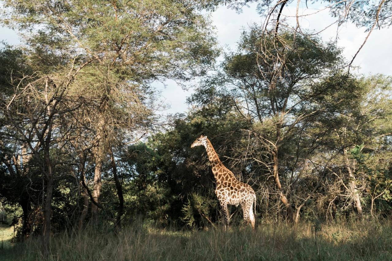 Tzaneen Country Lodge Bagian luar foto